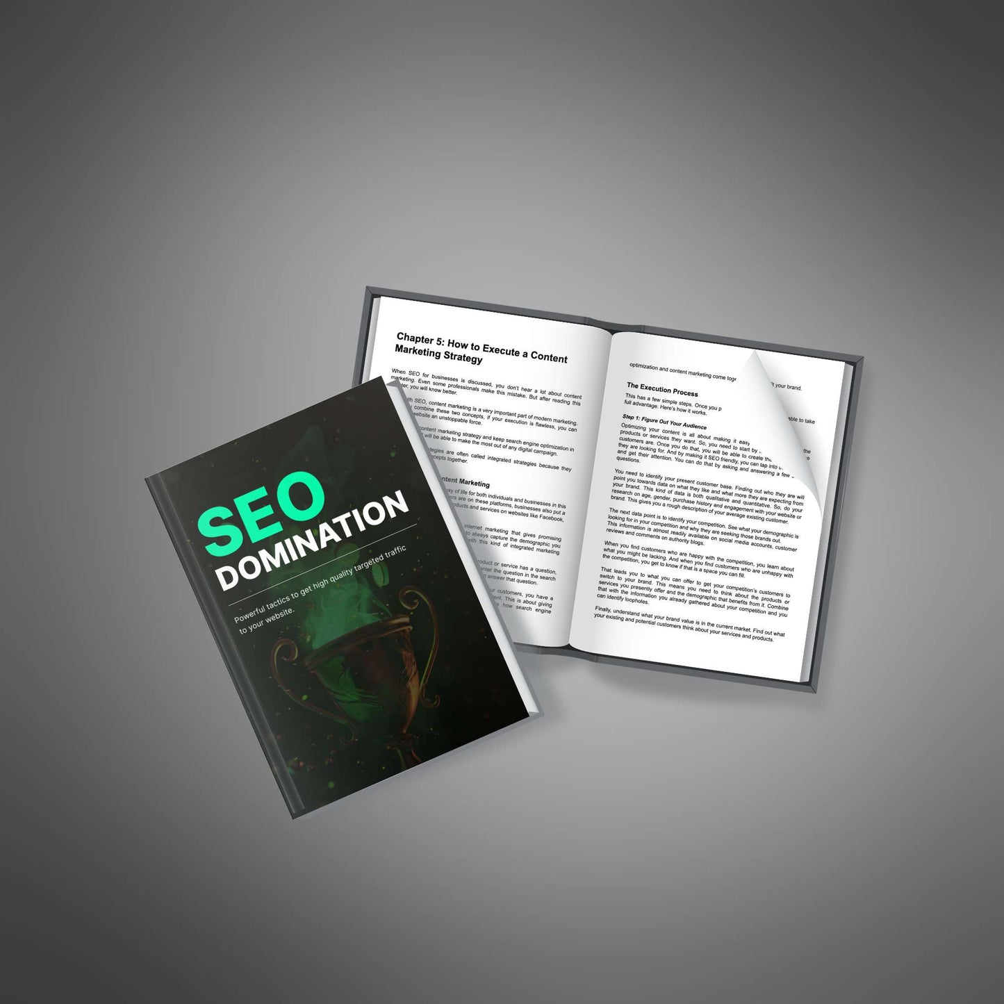 SEO Domination - Audio