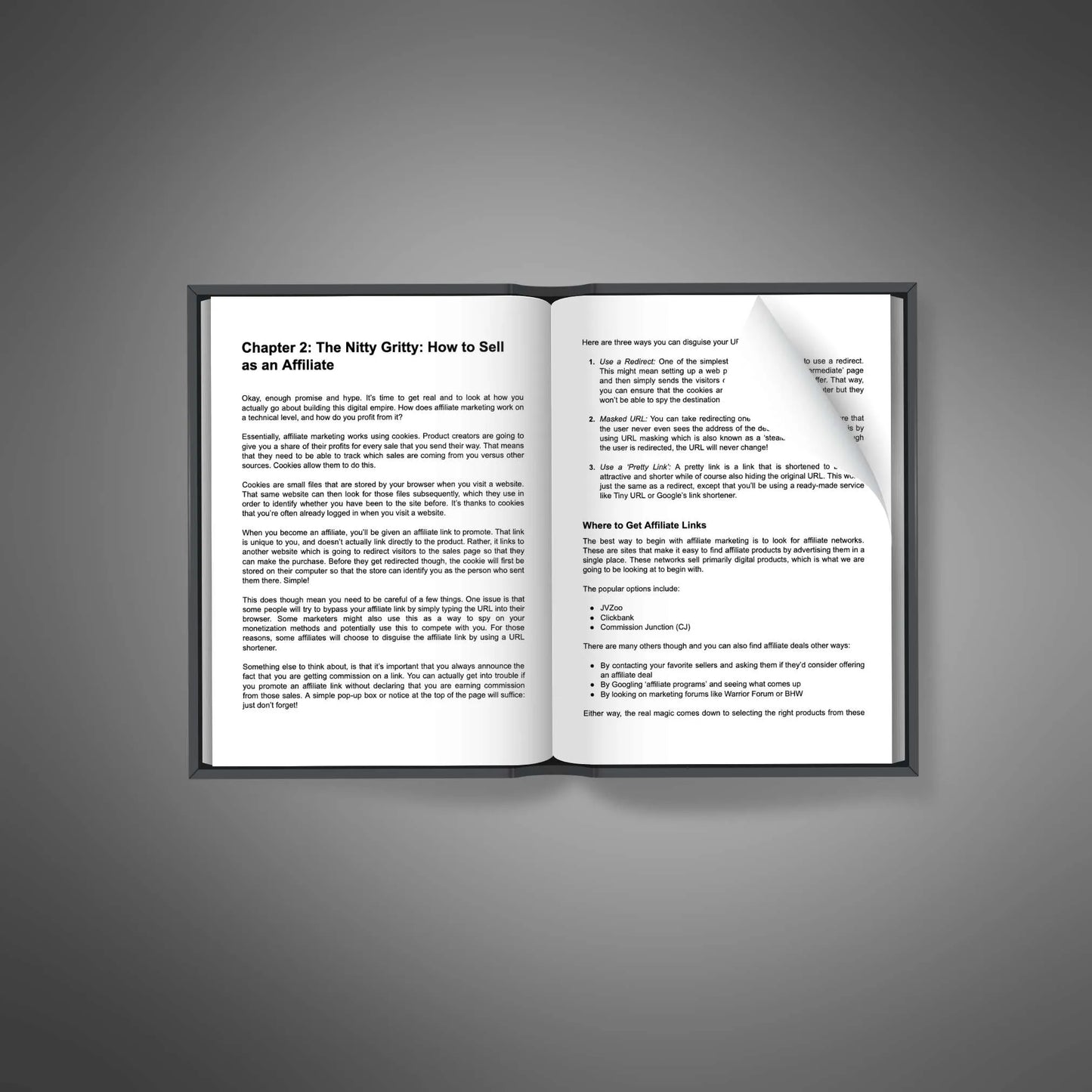 Affiliate Marketing School