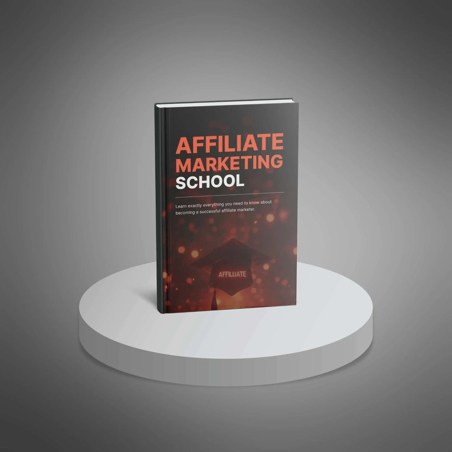 Affiliate Marketing School