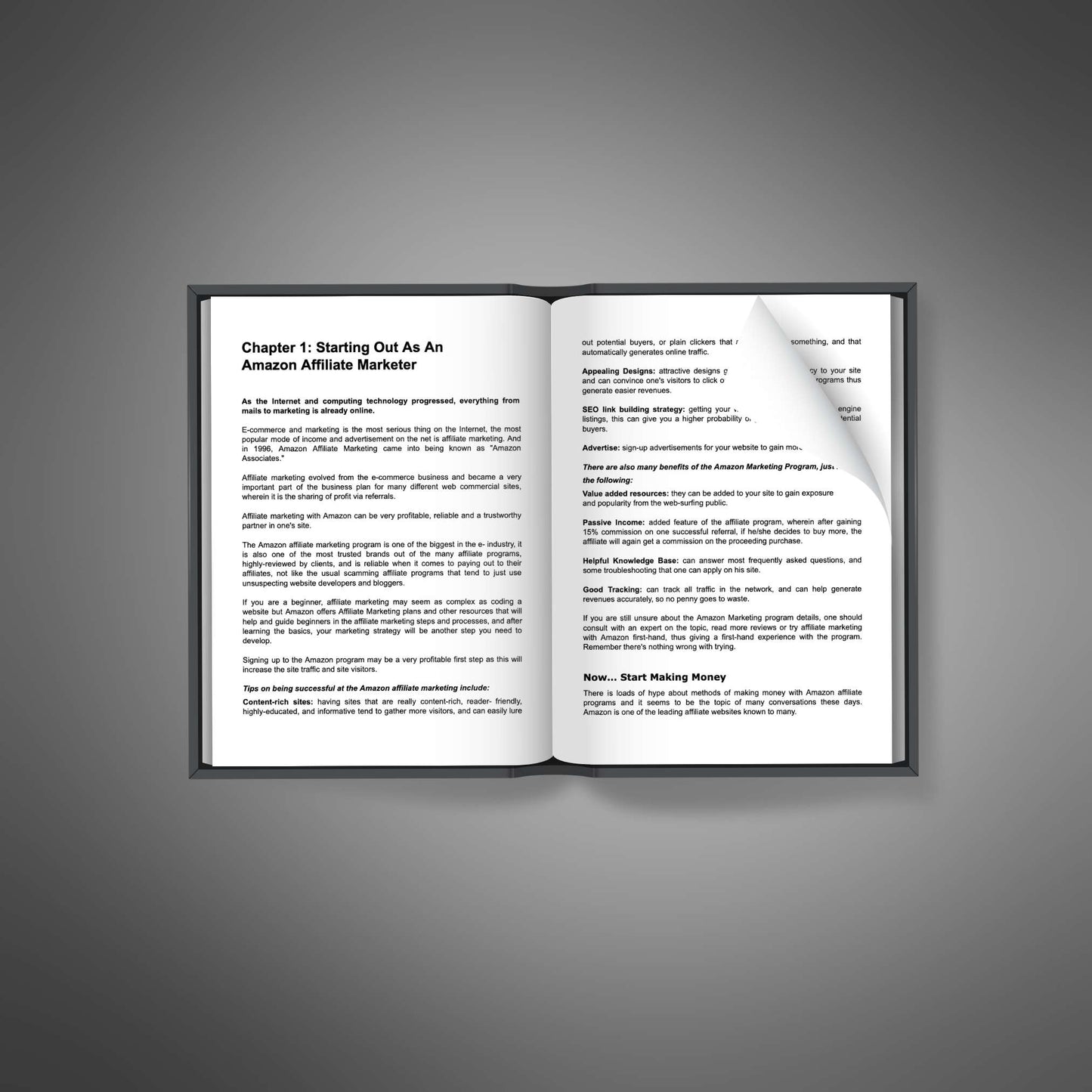 Amazon Associate Influence - Ebook