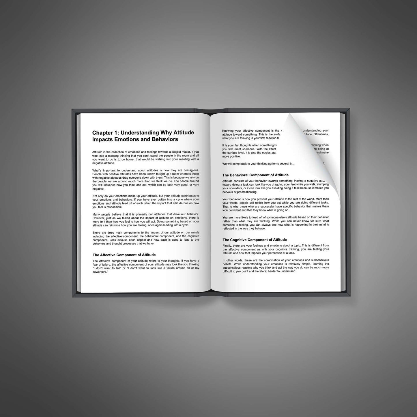 Attitude Is Key - Ebook