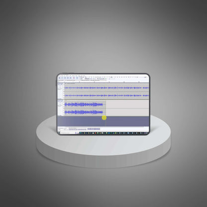 Audacity Masterclass - Video