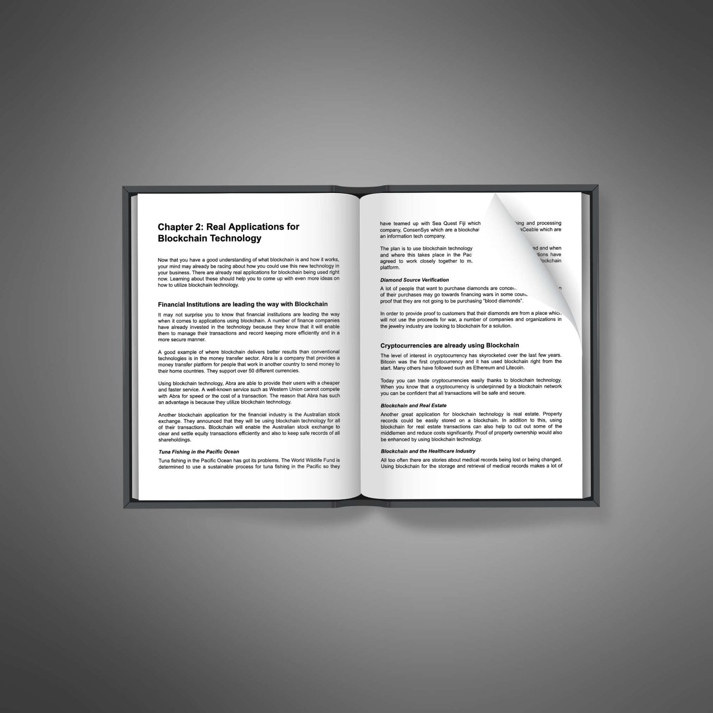 Blockchain Power - Ebook