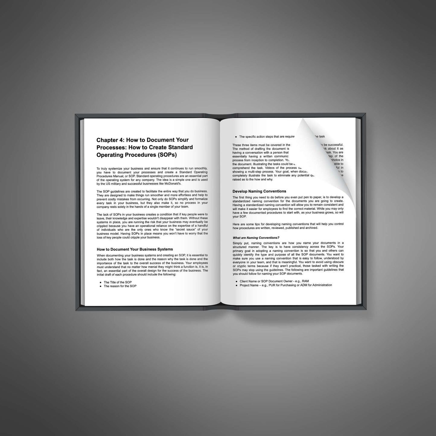 Business Systemization - Ebook