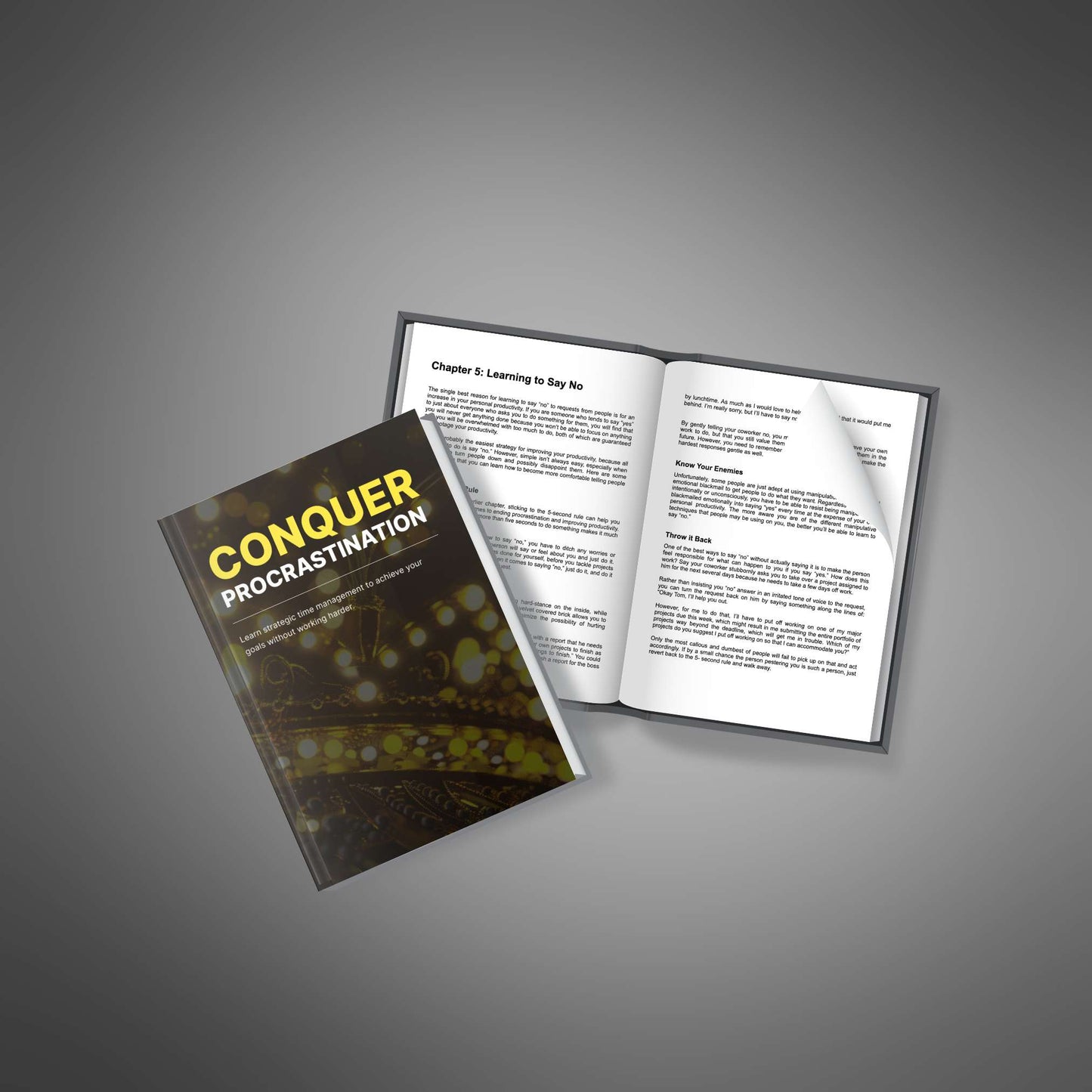 Conquer Procrastination - Ebook
