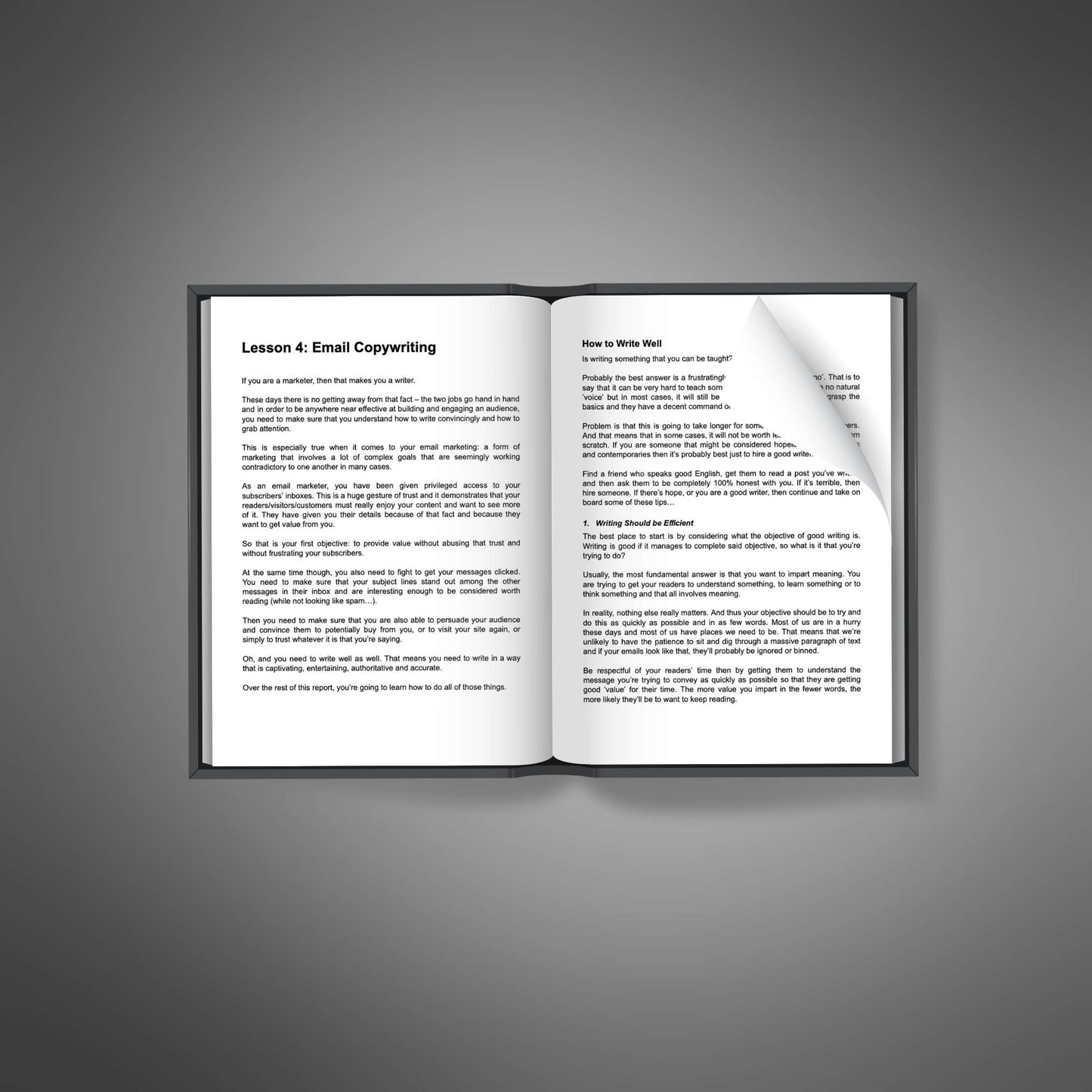 Email List Guru - Ebook
