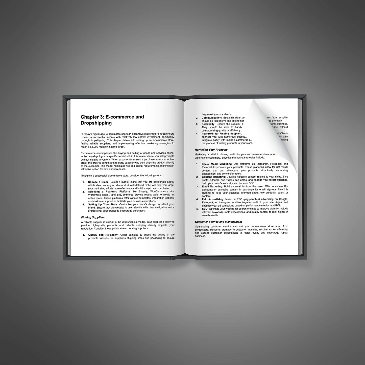Extra Income Strategies - Ebook