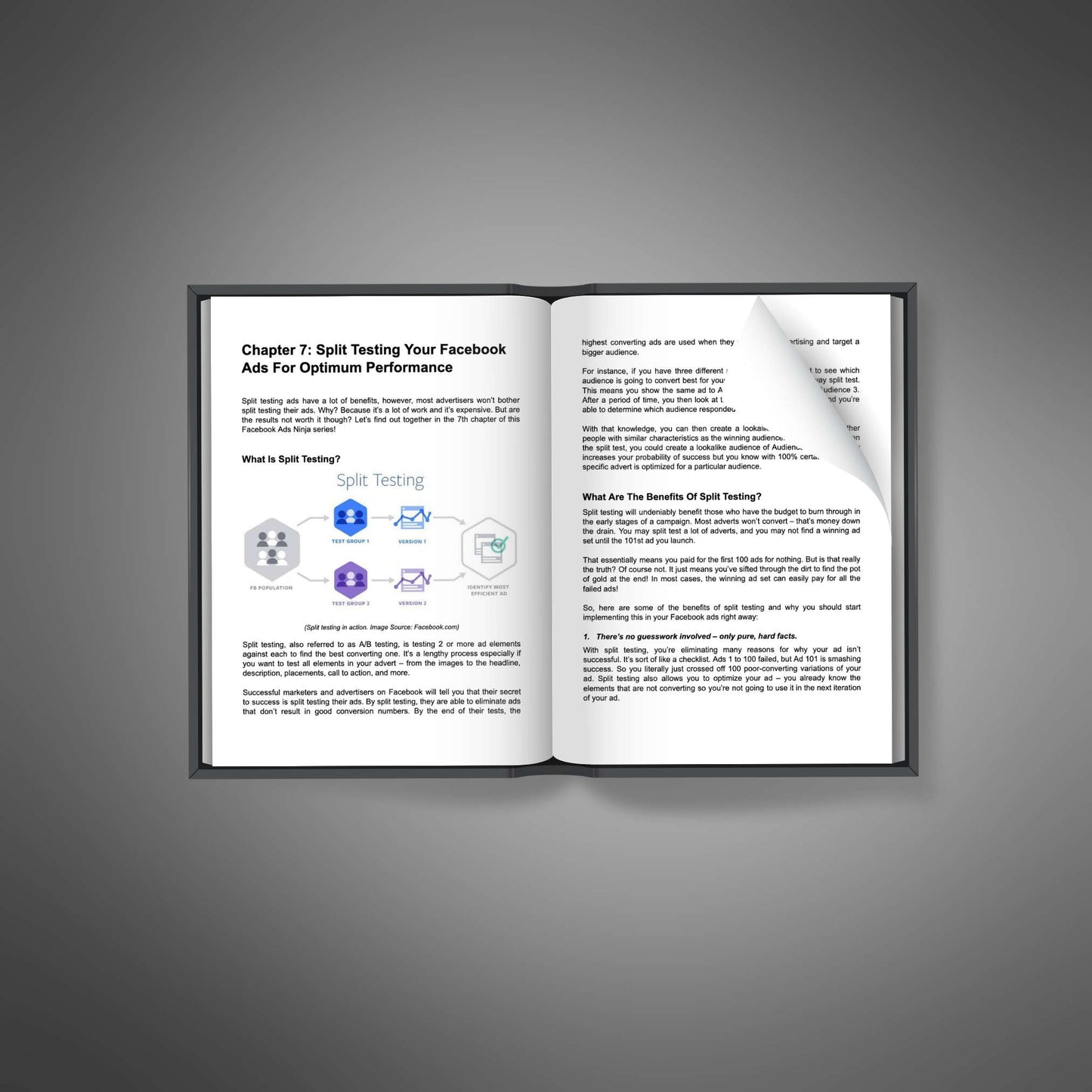 Facebook Ad Mastery - Audio