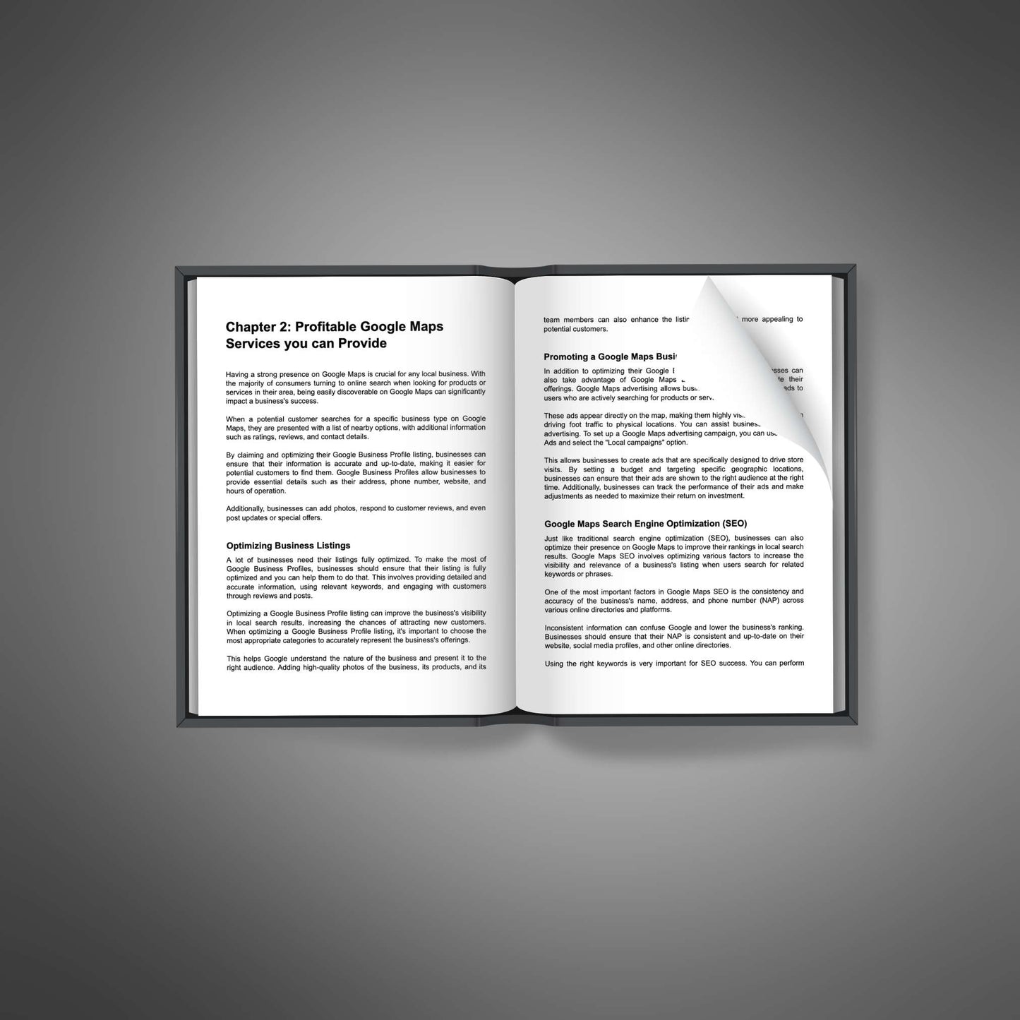 Google Maps Profit - Ebook