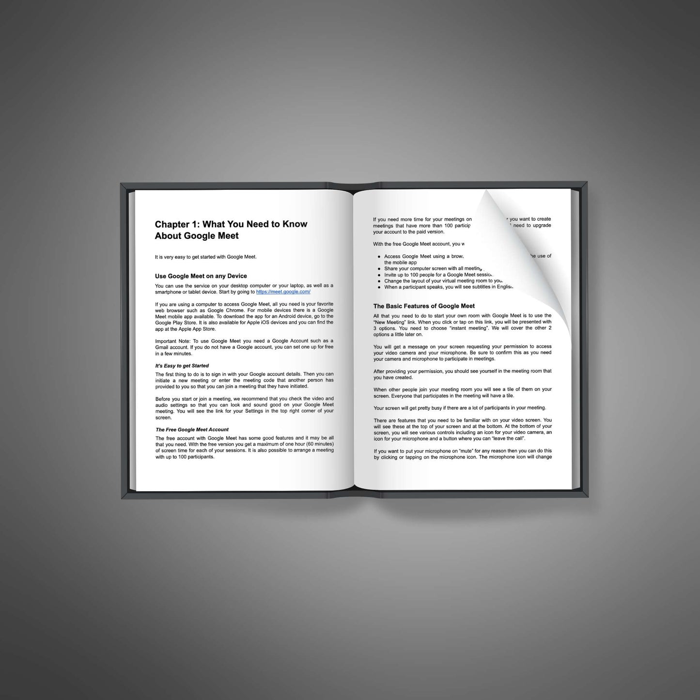 Google Meet Mastery - Ebook