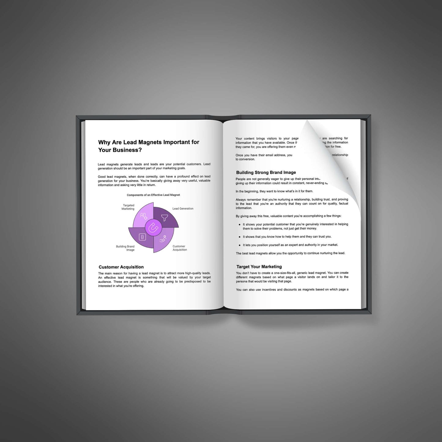 Lead Magnet Conversions - Ebook