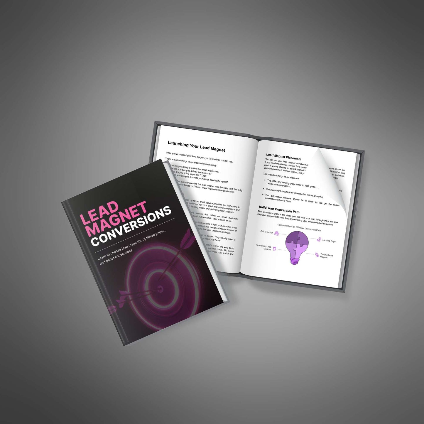 Lead Magnet Conversions - Ebook
