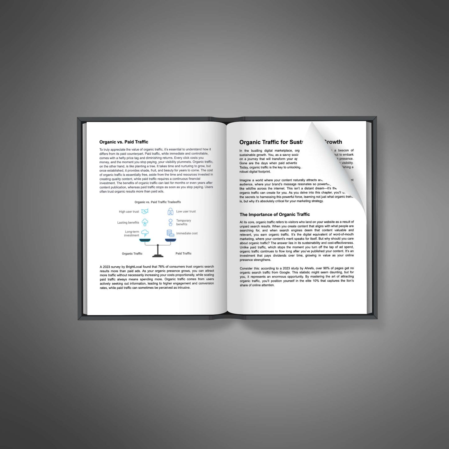 Mastering Organic Traffic - Ebook