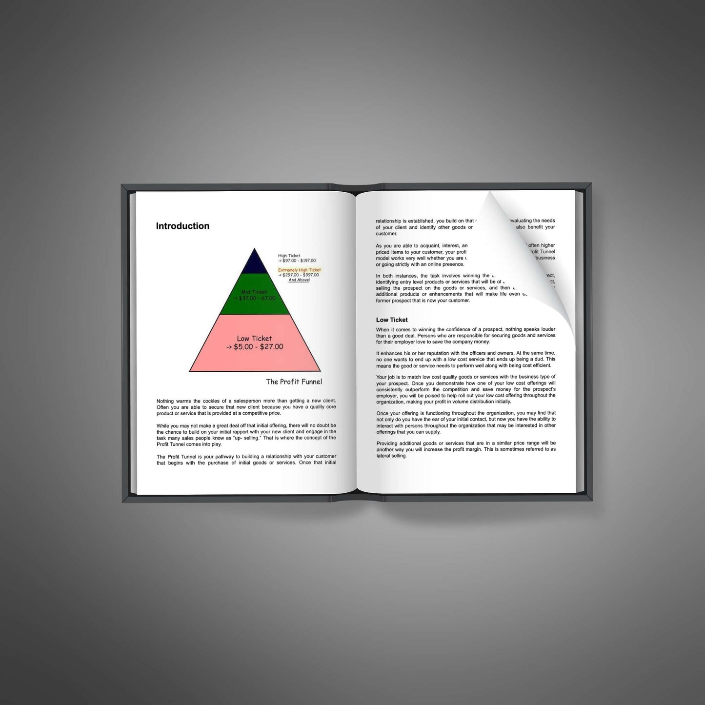 Maximizing Sales Funnels - Ebook