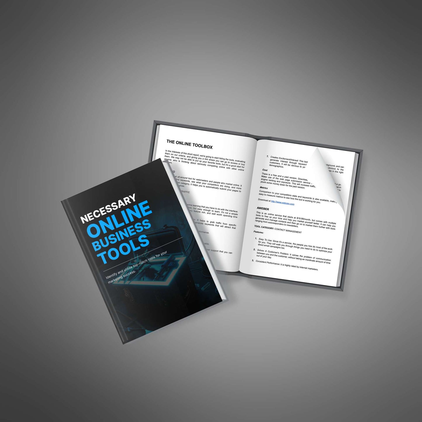 Necessary Online Business Tools - Ebook