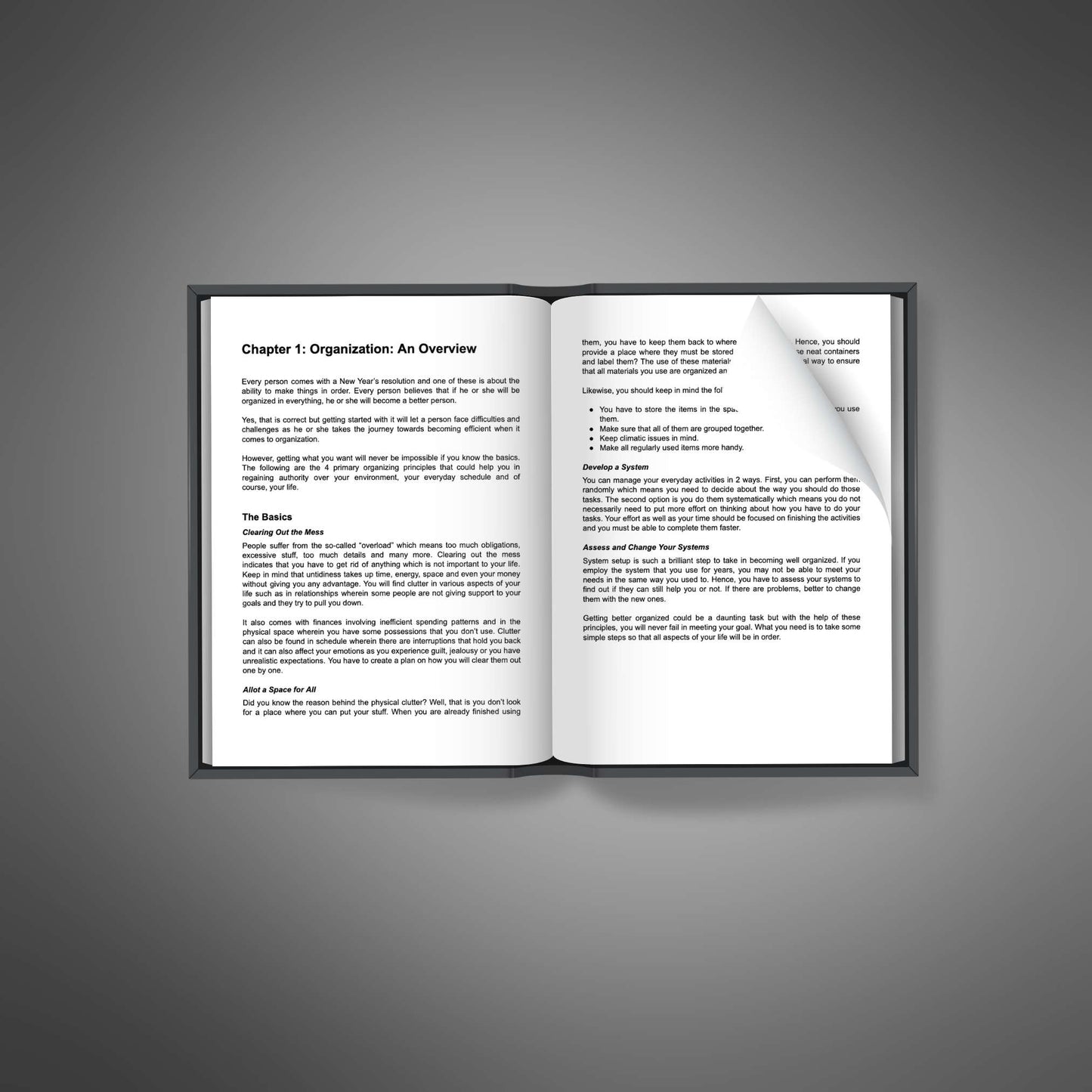 Organizing Excellence - Ebook