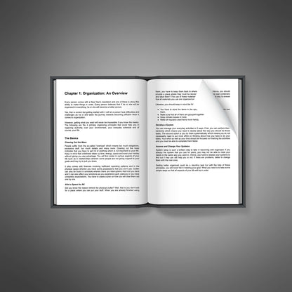 Organizing Excellence - Ebook