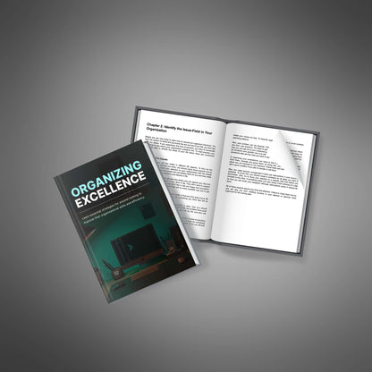 Organizing Excellence - Ebook