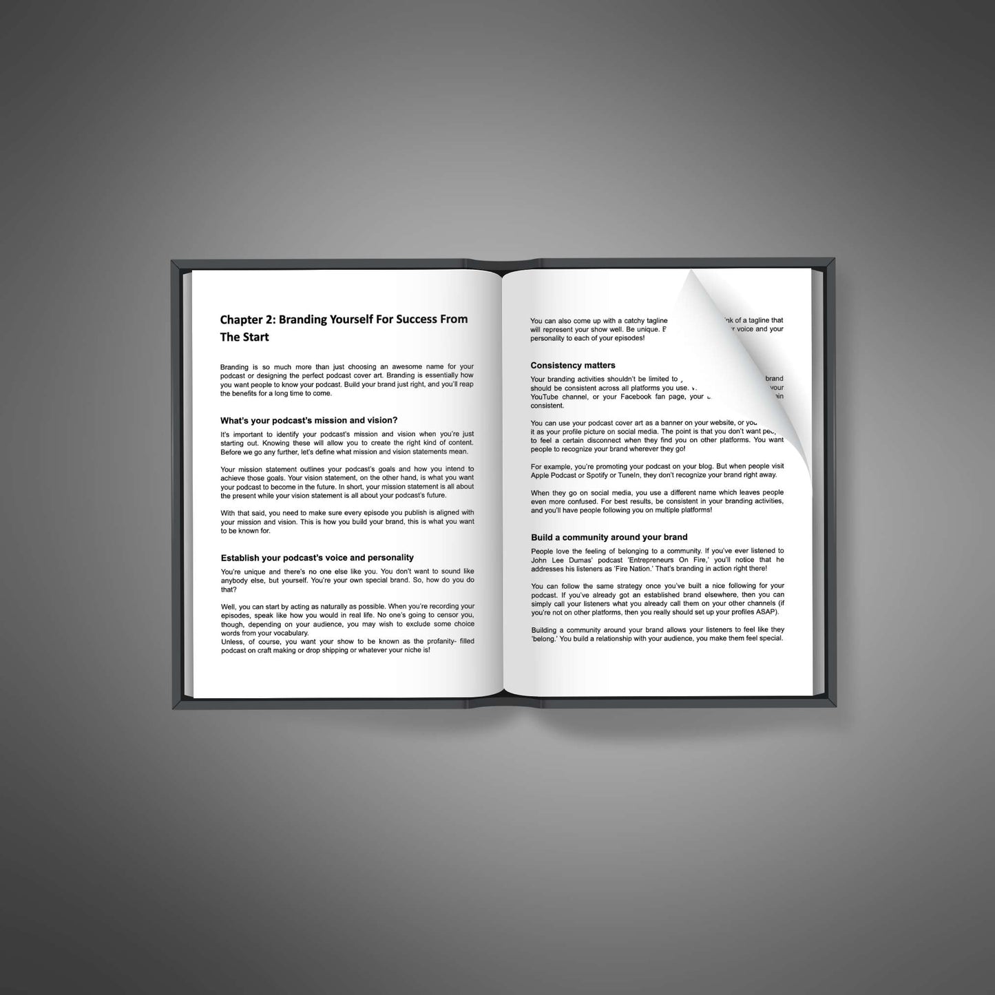 Podcasting Secrets - Ebook