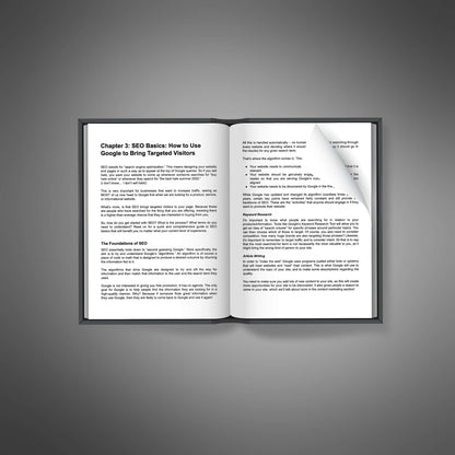 Power of Online Traffic - Audio
