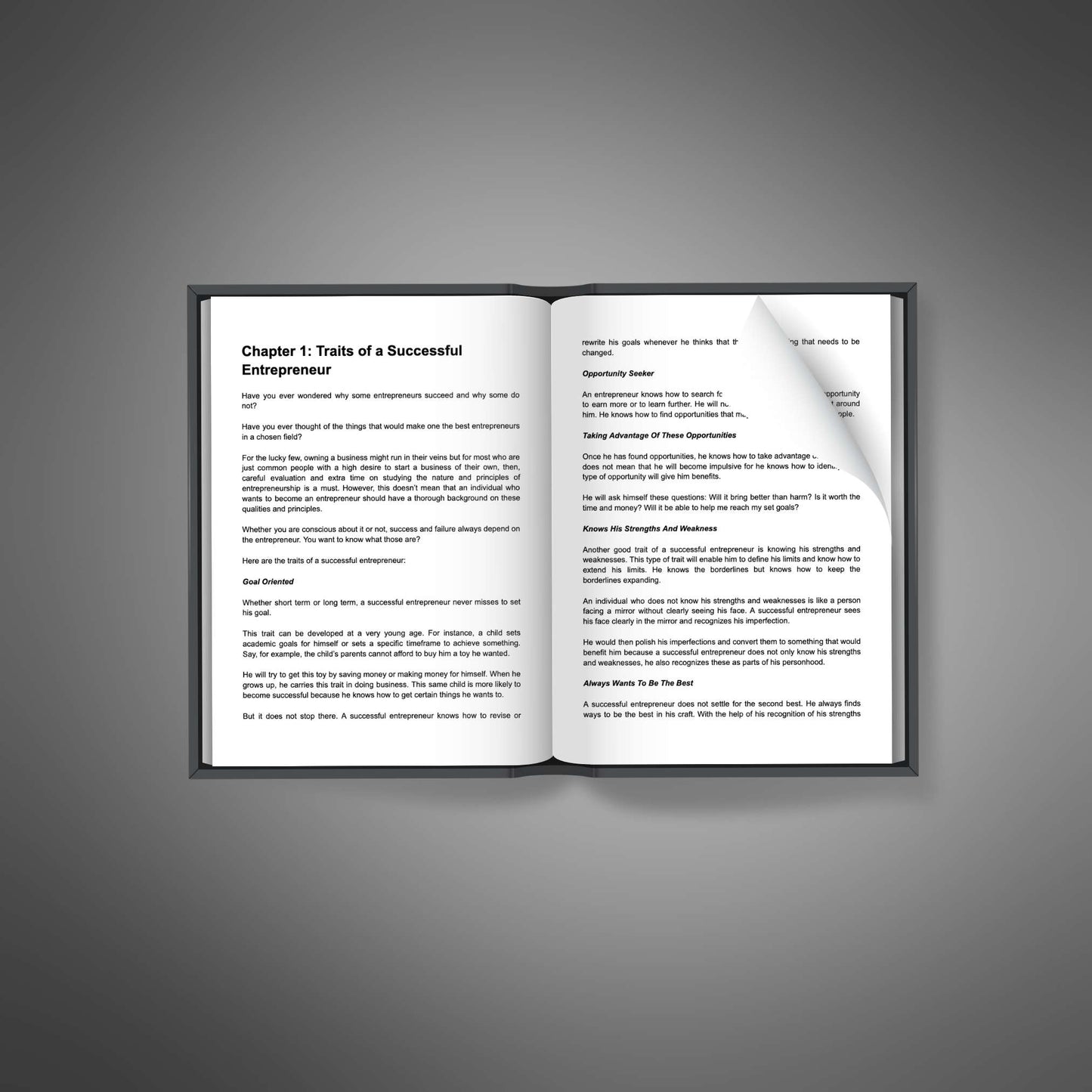 Powerful Entrepreneur - Ebook