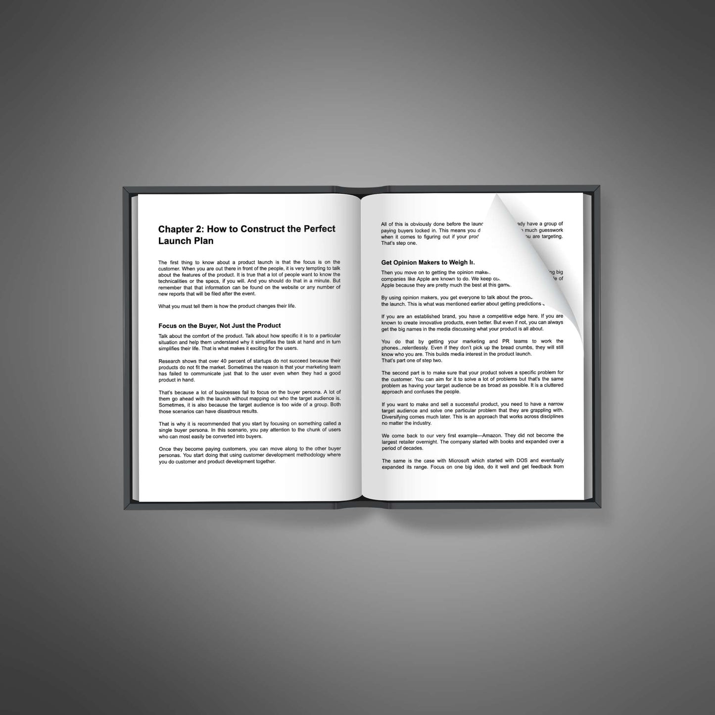 Product Launch School - Ebook