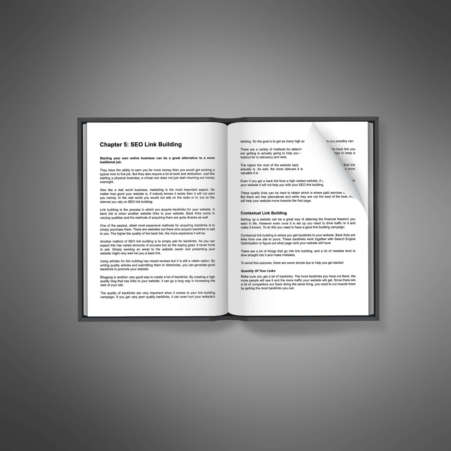 Search Engine Optimization - Ebook