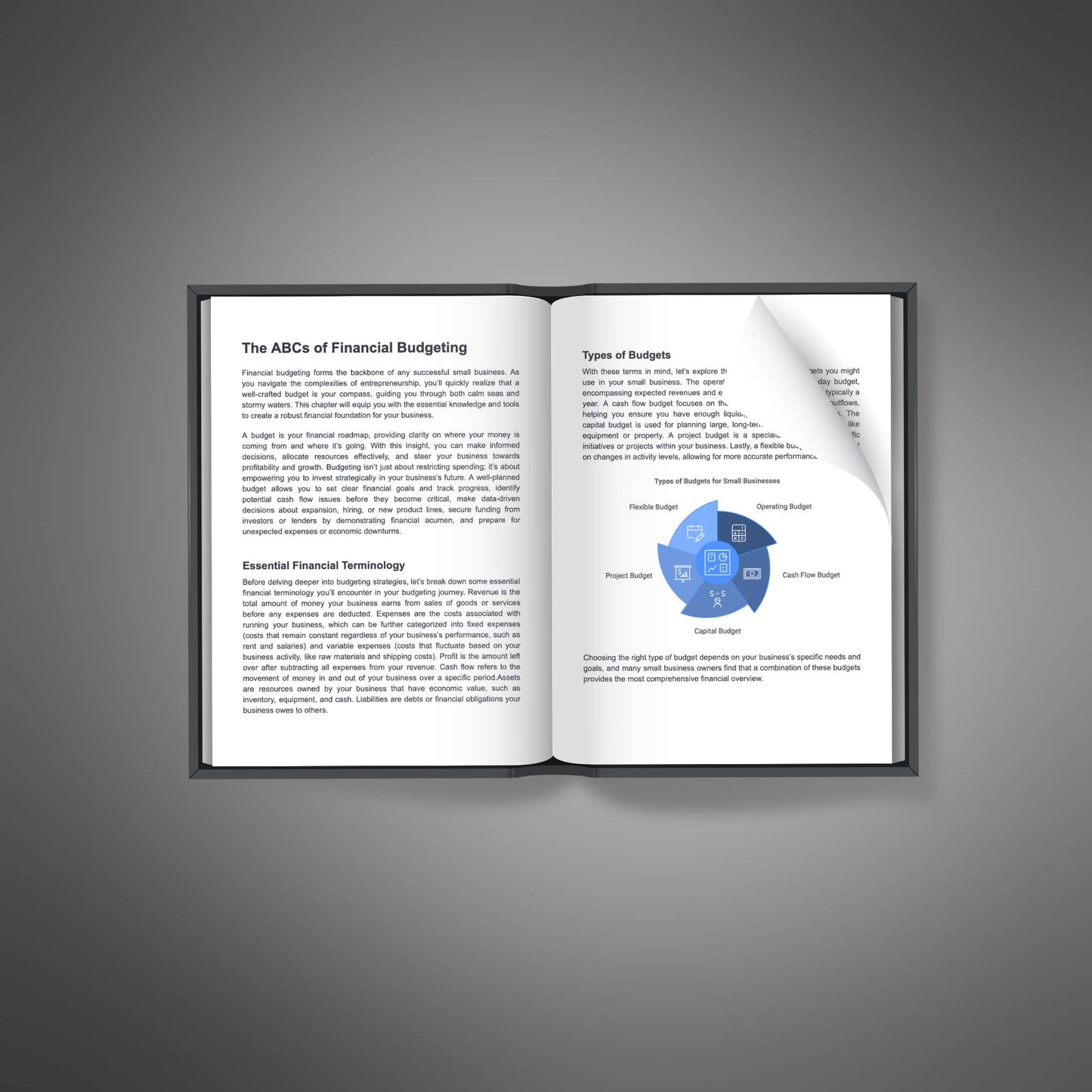 Small Business Budgeting - Ebook