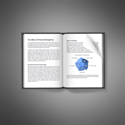 Small Business Budgeting - Ebook