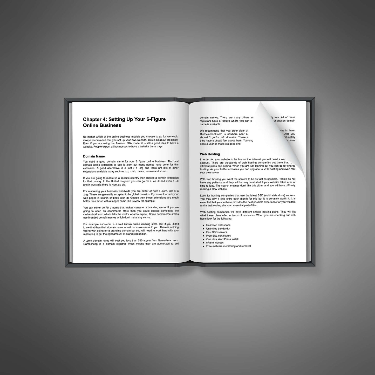 Starting 6-Figure Business - Ebook