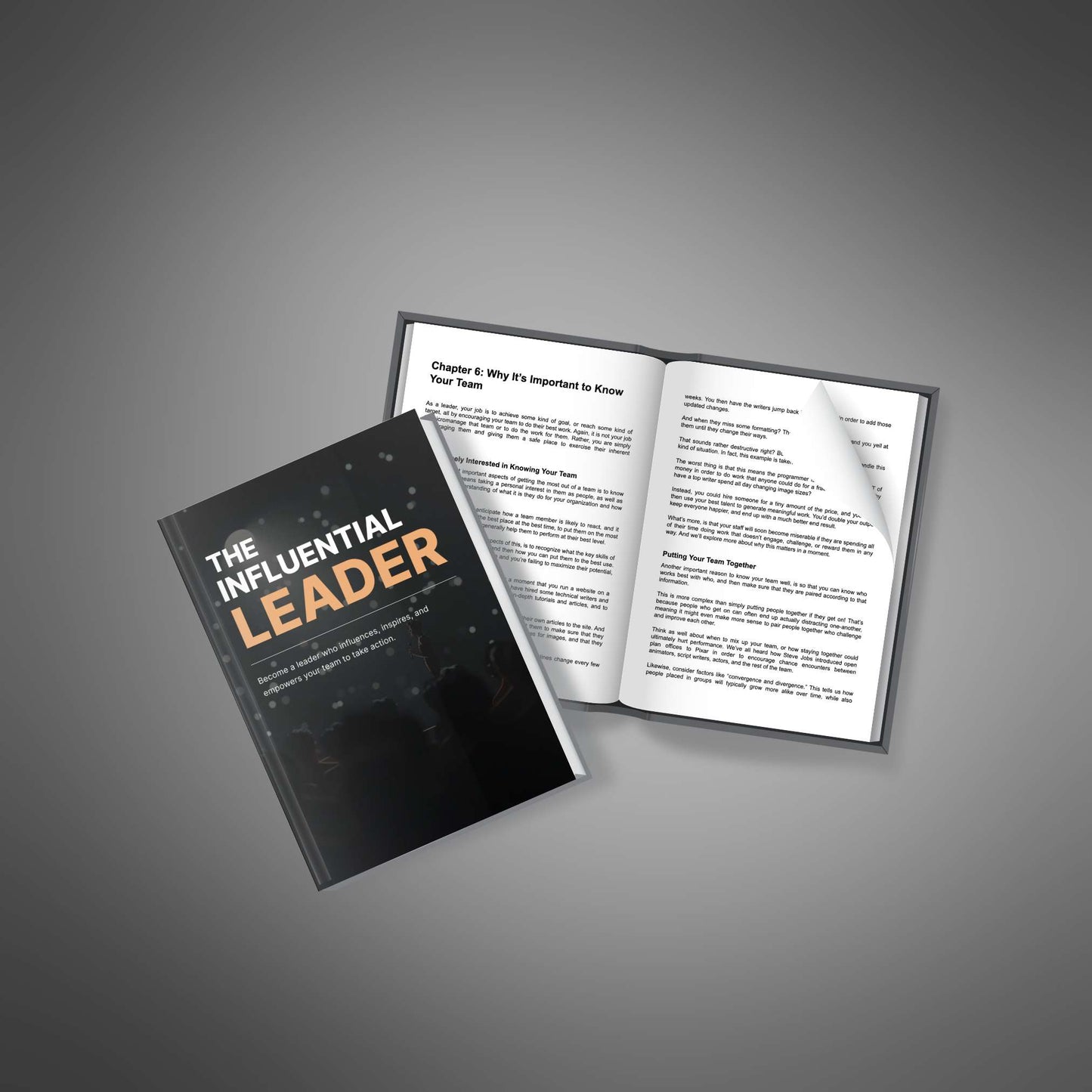 The Influential Leader - Video