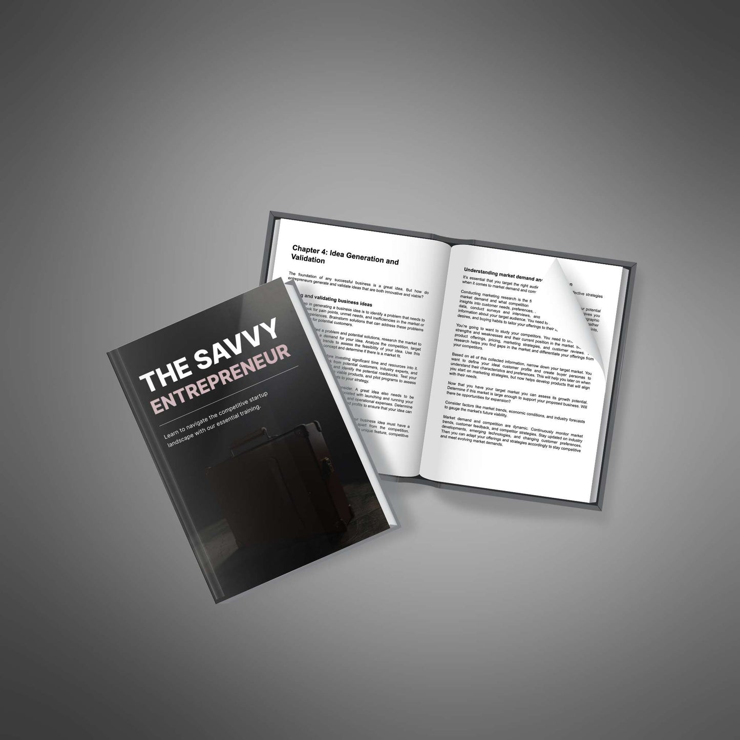 The Savvy Entrepreneur - Ebook