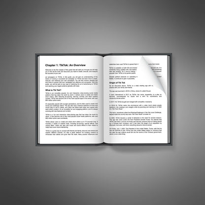 TikTok Ad Training Kit - Audio