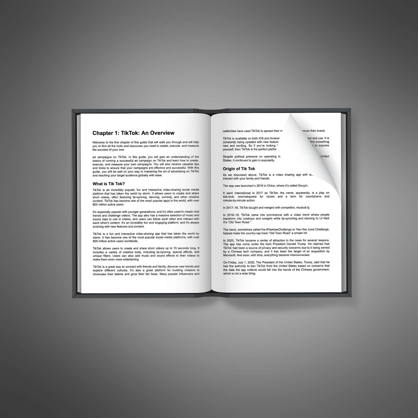 TikTok Ad Training Kit - Ebook
