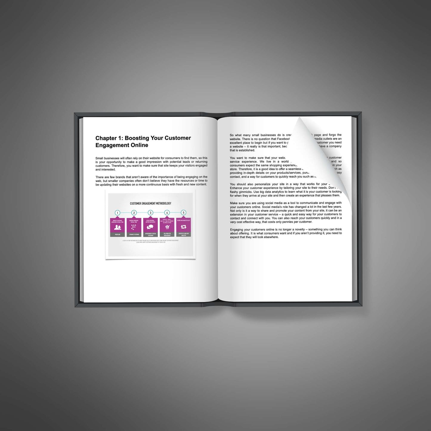 Viral Customer Engagement - Ebook