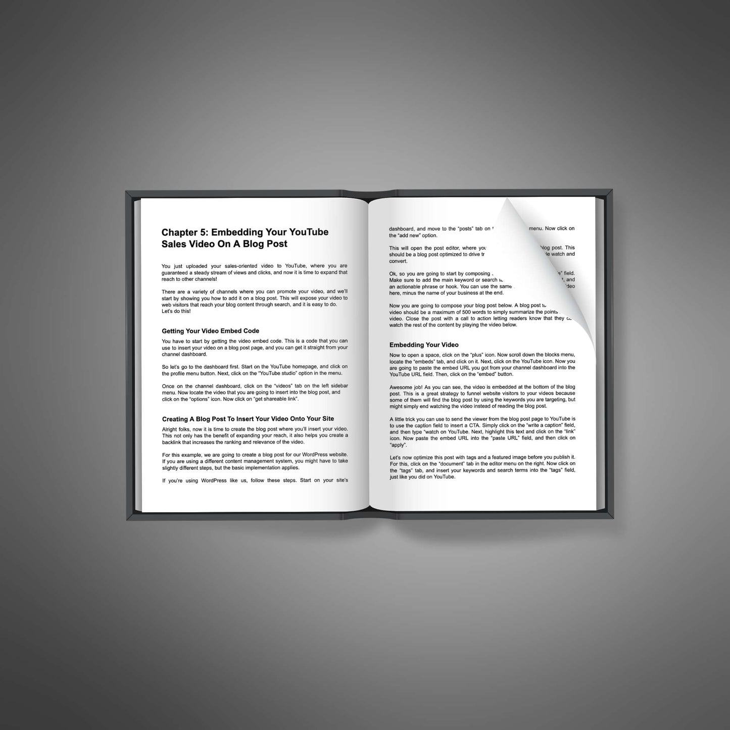 YouTube Business Studio - Ebook