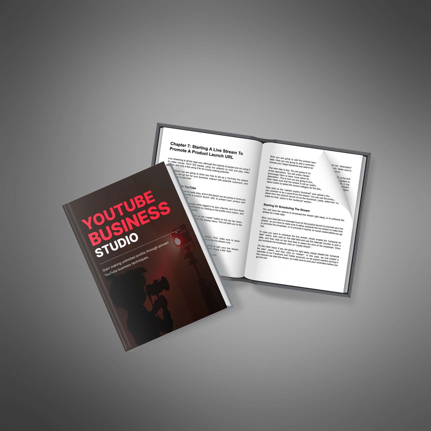 YouTube Business Studio - Ebook